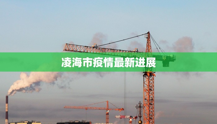 凌海市疫情最新进展