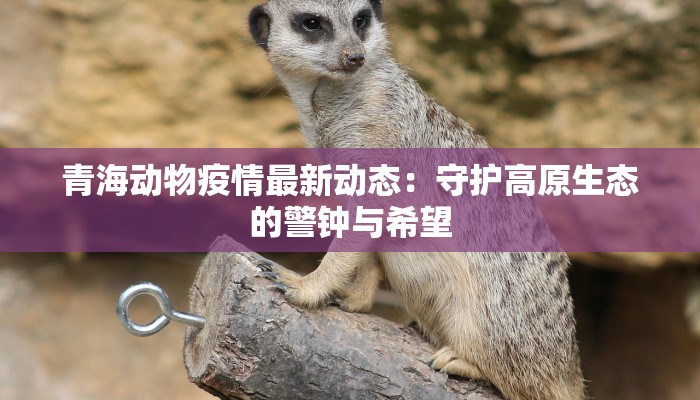 青海动物疫情最新动态:守护高原生态的警钟与希望 青海动物疫情最新动态:守护高原生态的警钟与希望